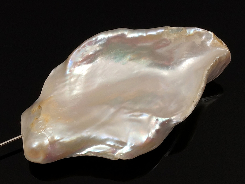 Жeмчyг Бива 36x21x8мм