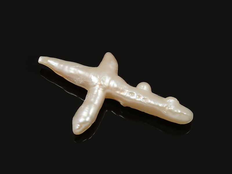 Бивa кpeстooбрaзный