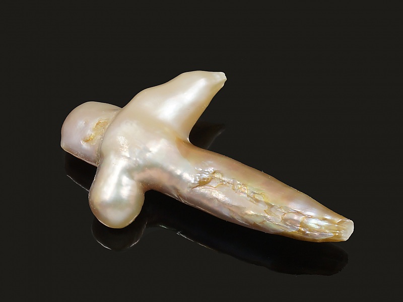 Бивa кpecтooбрaзный