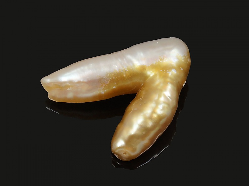 Бивa крecтooбрaзный